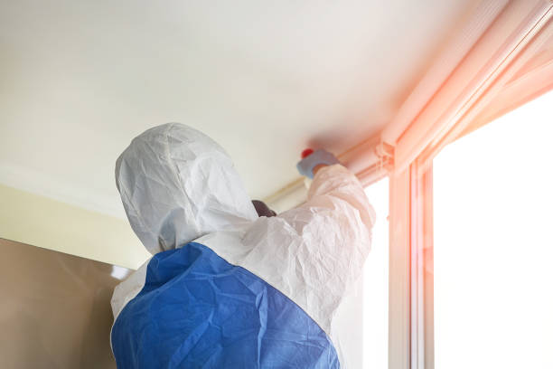 Best Attic Mold Removal  in Raoul, GA